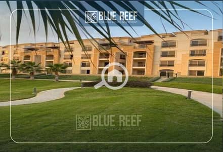 2 Bedroom Flat for Sale in Katameya, Cairo - 3. jpg