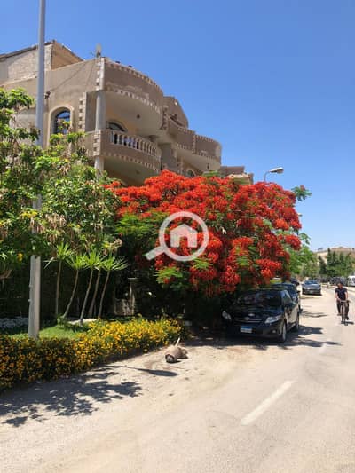 6 Bedroom Duplex for Sale in New Cairo, Cairo - IMG-20251007-WA0235. jpg