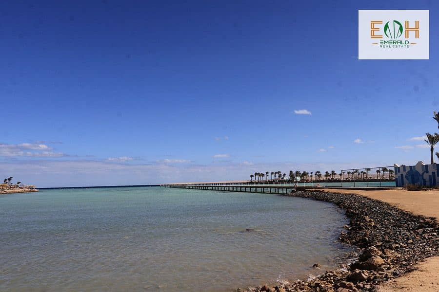 7 IMG_6320. jpg