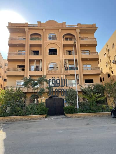 فلیٹ 3 غرف نوم للايجار في القاهرة الجديدة، القاهرة - IMG-20251007-WA0165. jpg
