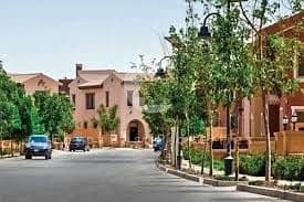 12 IMG-20251006-WA0134. jpg