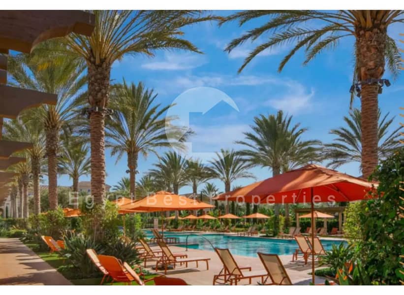 3 3456777-27e2fo. jpg