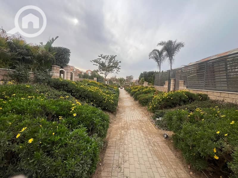 4 WhatsApp Image 2025-10-05 at 14.23. 49_4c5cb923. jpg