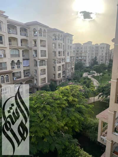 2 Bedroom Flat for Rent in Madinaty, Cairo - IMG-20251007-WA0001. jpg