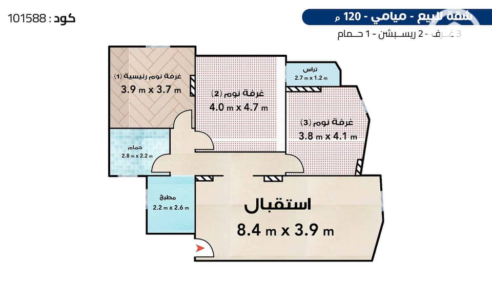 5 5. jpg