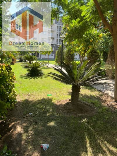 3 Bedroom Apartment for Sale in Madinaty, Cairo - WhatsApp Image 2025-10-06 at 5.58. 17 PM (1). jpeg