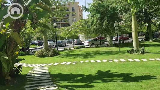 شقة 3 غرف نوم للايجار في القاهرة الجديدة، القاهرة - 1000641846. jpg