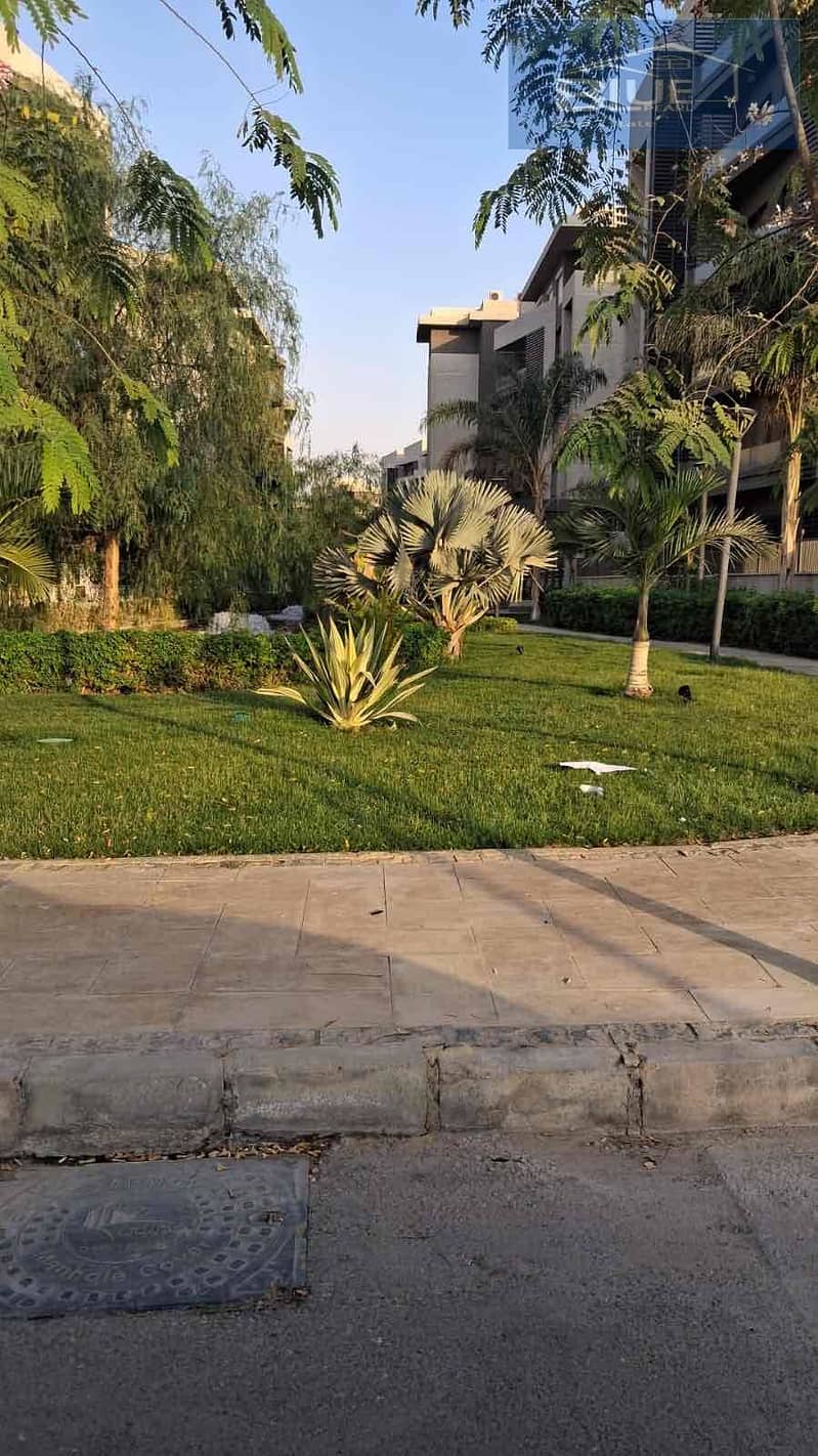 14 0c64efe5-9081-4664-8a0a-e88e5a9d8c7c. jpg