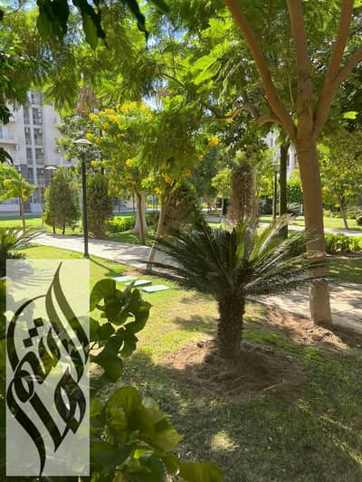 3 Bedroom Apartment for Sale in Madinaty, Cairo - IMG-20251007-WA0013. jpg