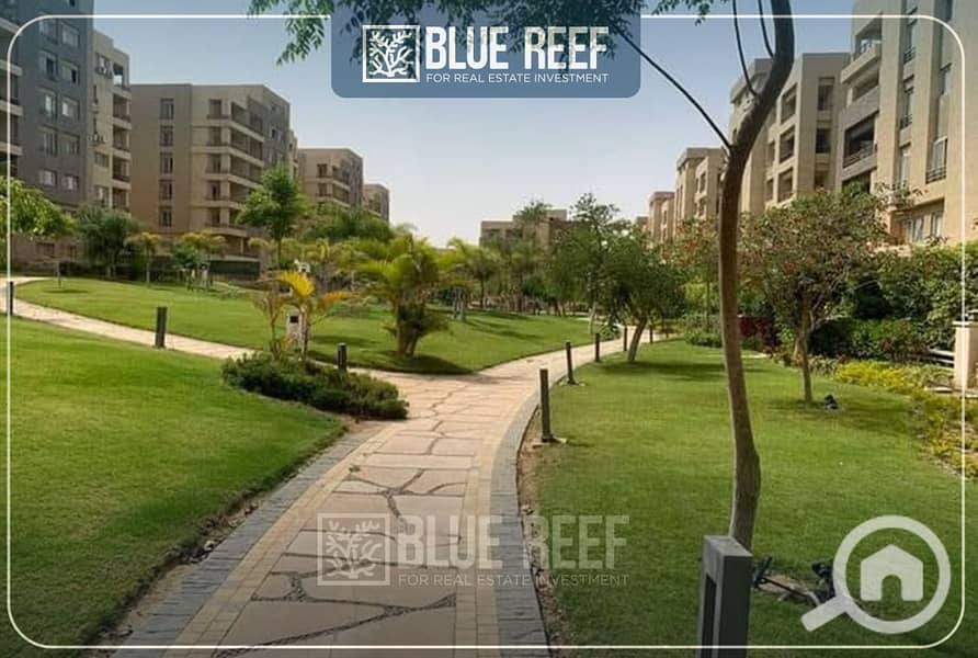 6 WhatsApp Image 2025-10-07 at 6.52. 27 PM. jpeg