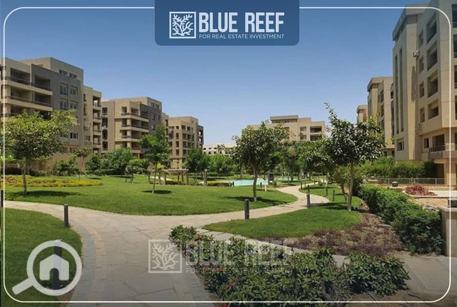 10 WhatsApp Image 2025-10-07 at 7.01. 50 PM. jpeg