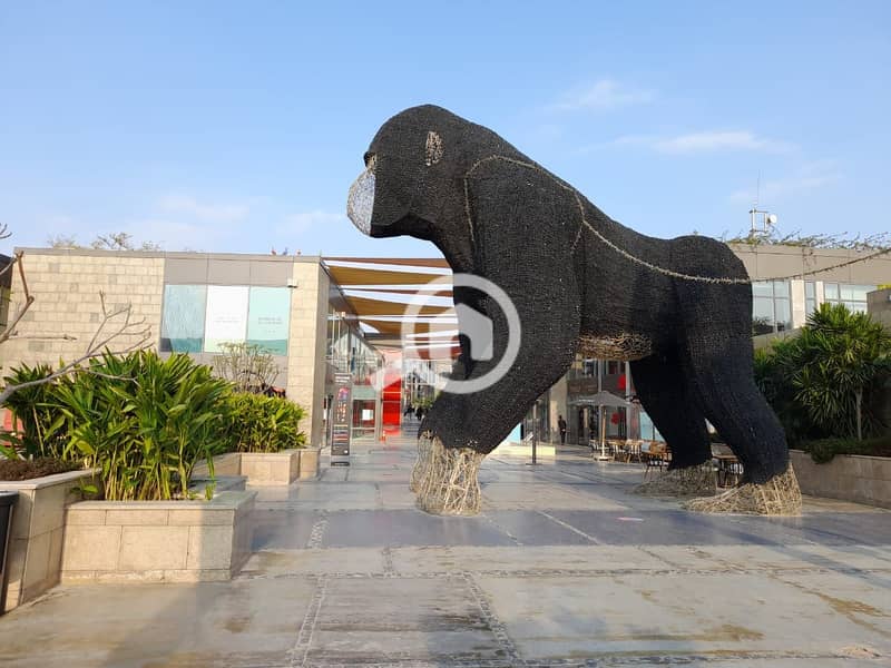 2 WhatsApp Image 2022-11-09 at 3.21. 45 PM (1). jpeg