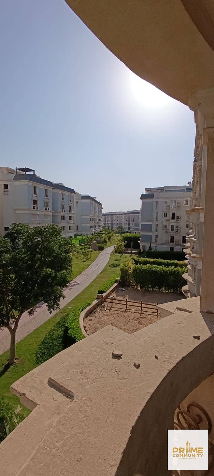 11 WhatsApp Image 2025-07-27 at 18.14. 47_ed07e1a4. jpg