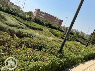 3 Bedroom Apartment for Sale in Madinaty, Cairo - WhatsApp Image 2025-09-25 at 4.20. 52 PM. jpeg