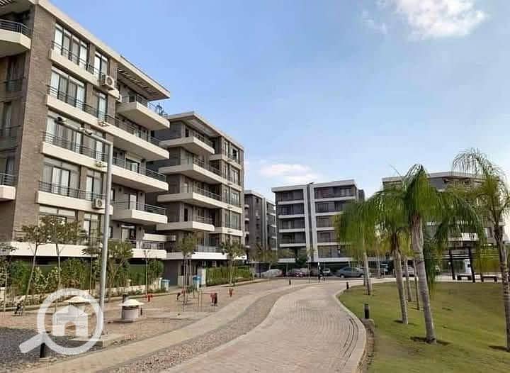 7 553239156_1336582901326828_881749788099194417_n. jpg