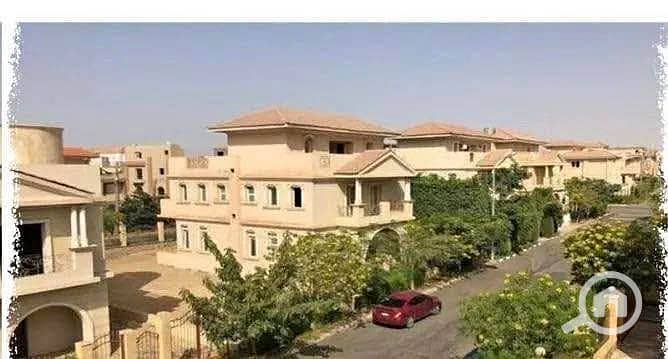 3 484965487_1333010278034855_4337003593171630776_n. jpg