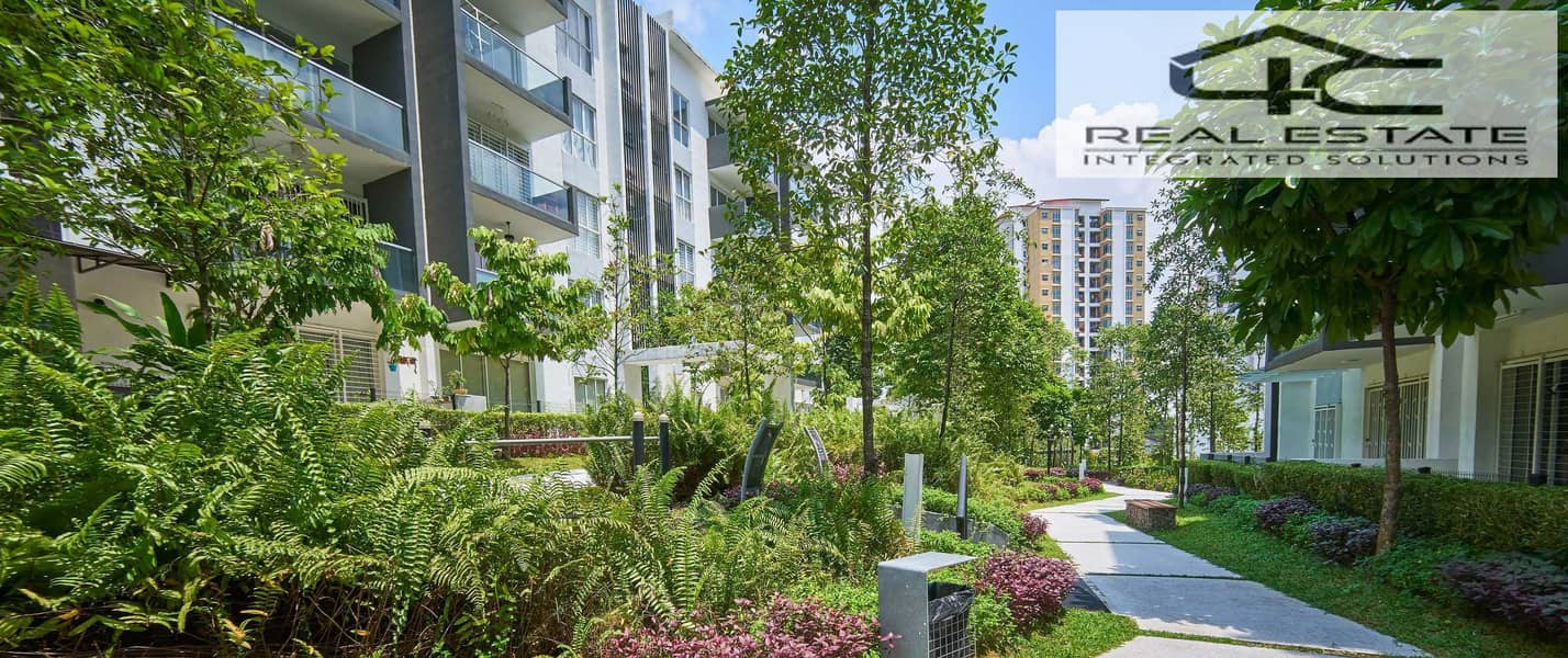 2 Noll_new_cairo__5_. jpg