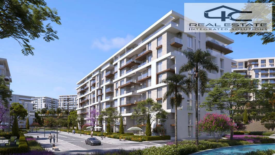 3 Noll_new_cairo__1_. jpg