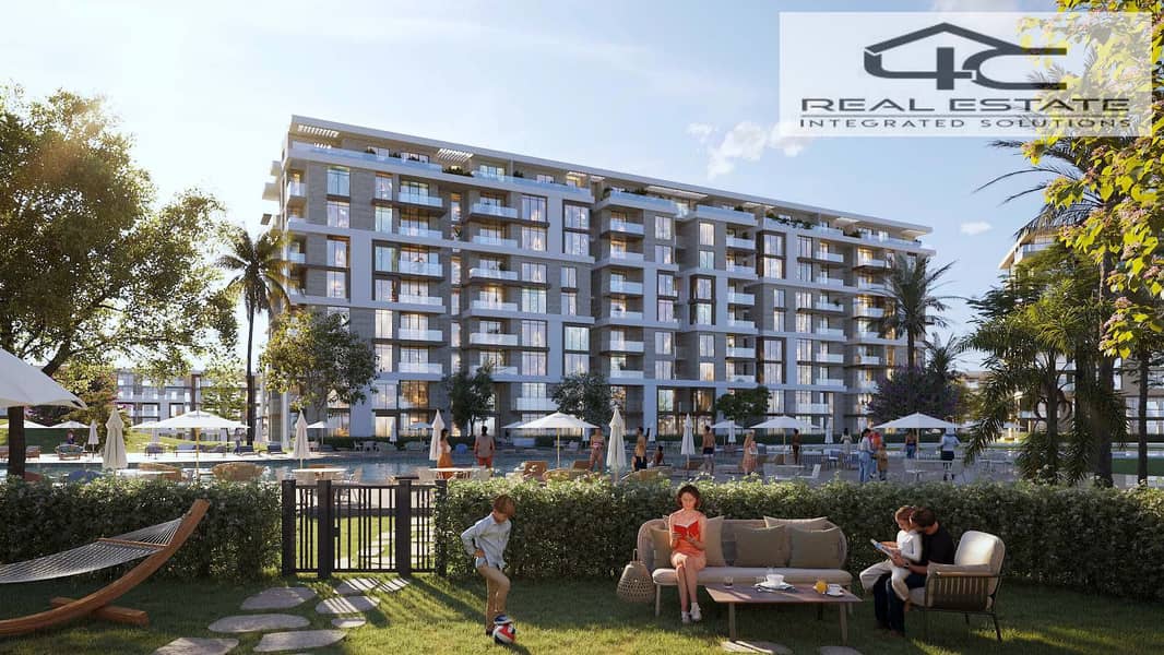 4 Noll_new_cairo__2_. jpg