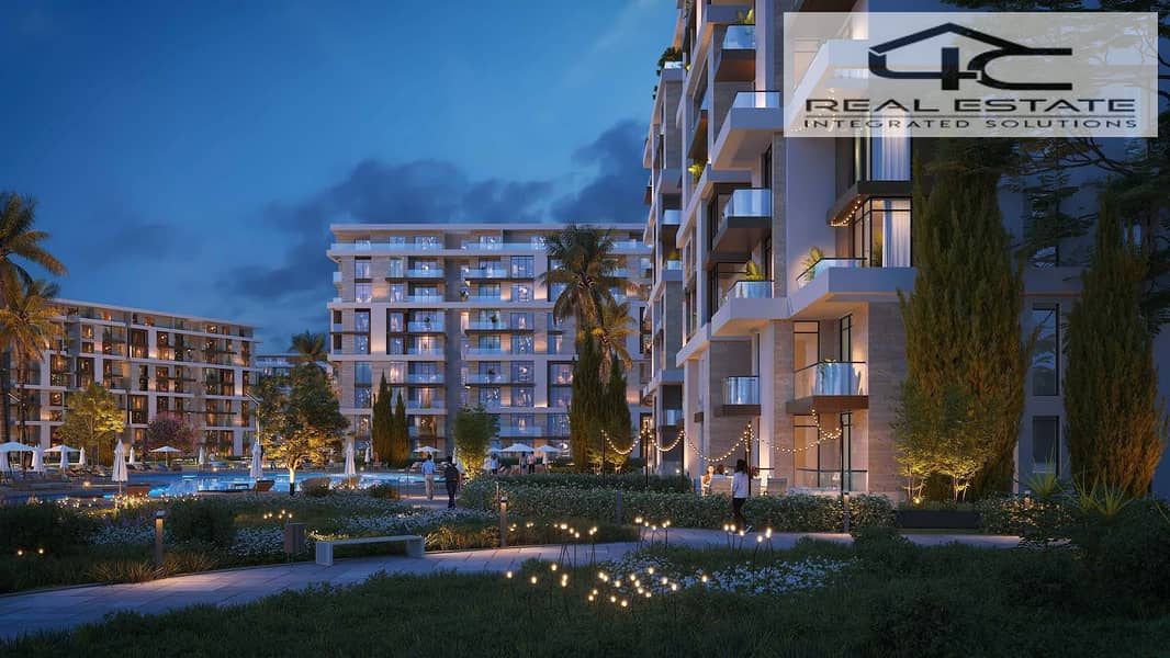 5 Noll_new_cairo__4_. jpg