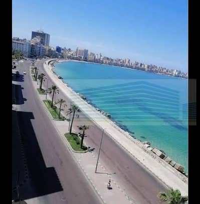 Office for Rent in Raml Station, Alexandria - WhatsApp Image 2025-10-07 at 4.55. 01 AM (1). jpeg