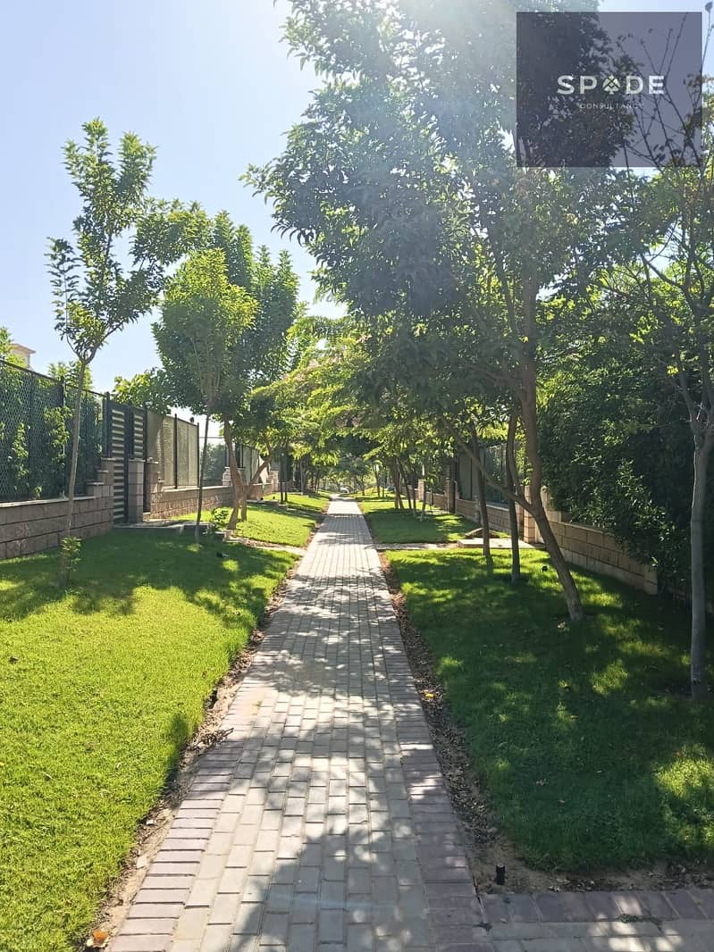 3 WhatsApp Image 2025-09-10 at 14.18. 17_23e557f7. jpg