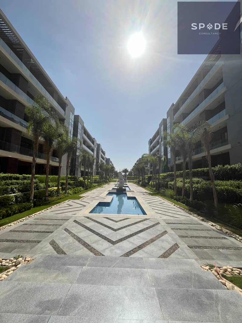 4 WhatsApp Image 2025-08-10 at 16.43. 12_6f7efd46. jpg