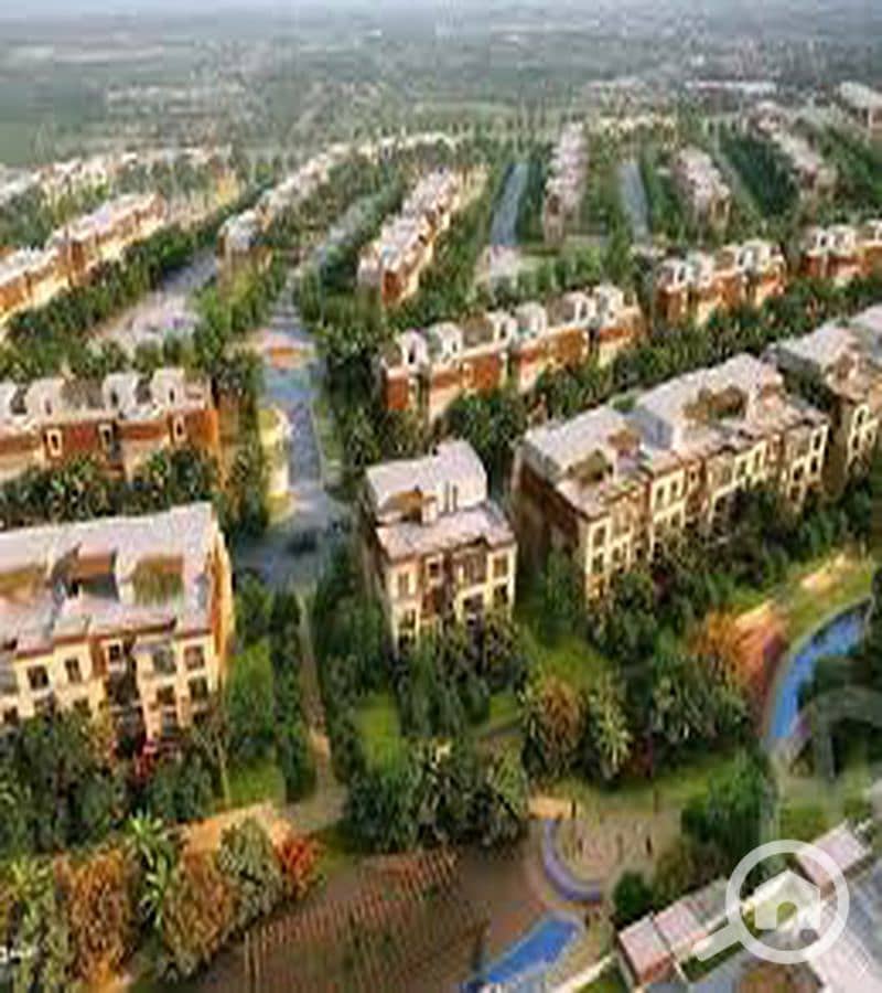 2 WhatsApp Image 2025-10-08 at 11.23. 22 AM (1)_800x900. jpg