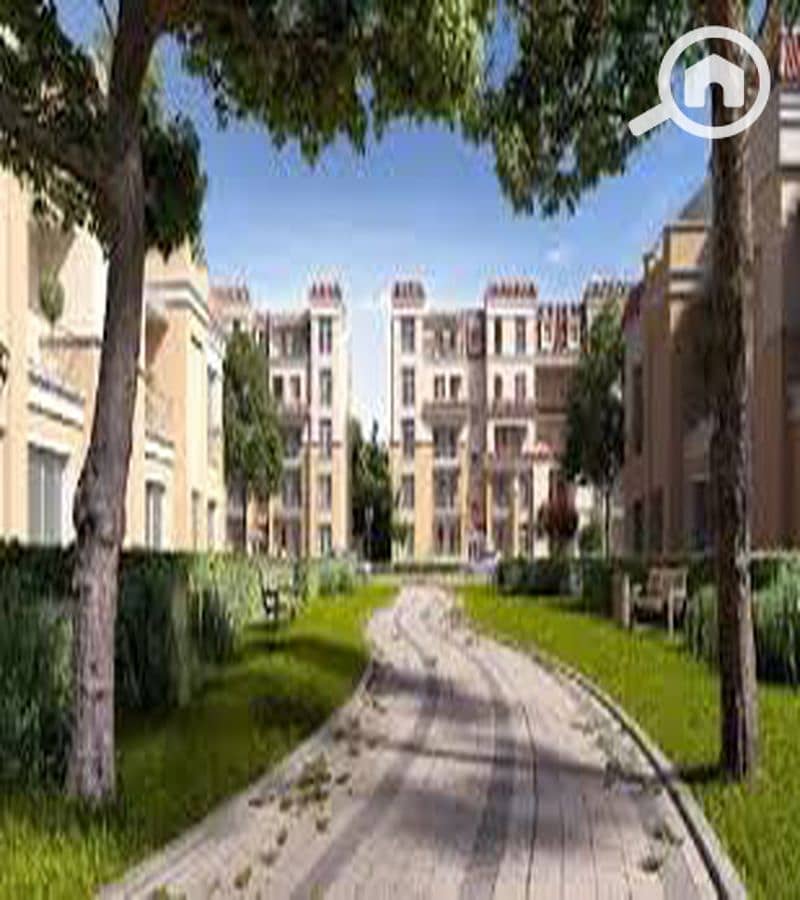 4 WhatsApp Image 2025-10-08 at 11.23. 23 AM (1)_800x900. jpg