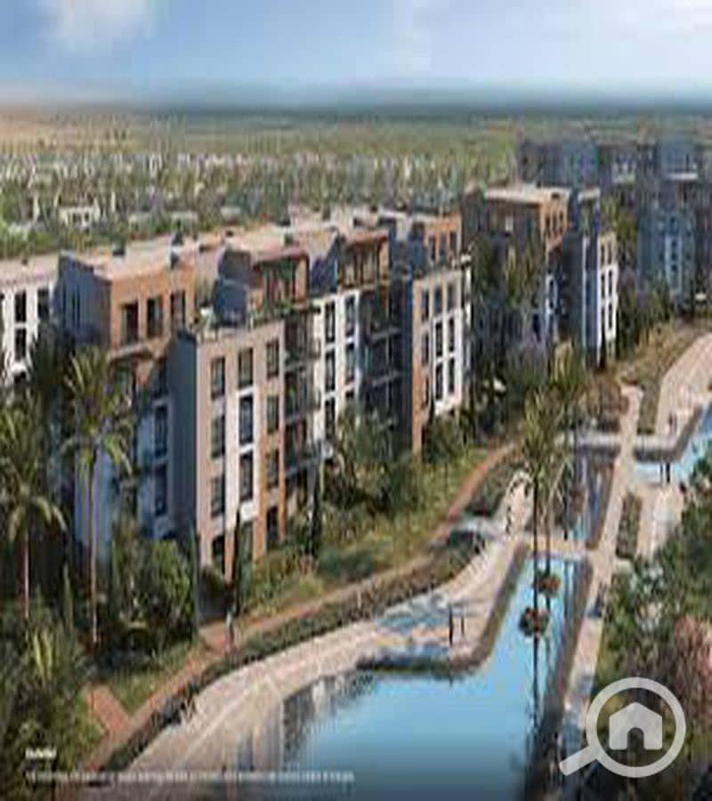 6 WhatsApp Image 2025-10-06 at 4.54. 56 PM (5)_800x900. jpg