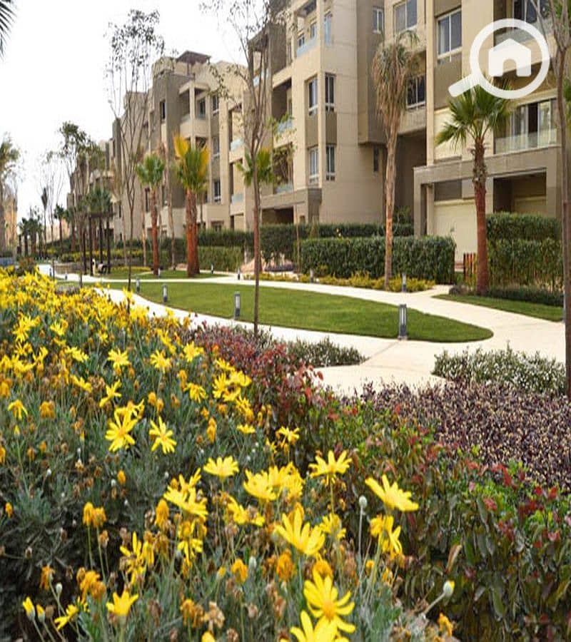 8 WhatsApp Image 2025-10-06 at 4.54. 56 PM (7)_800x900. jpg