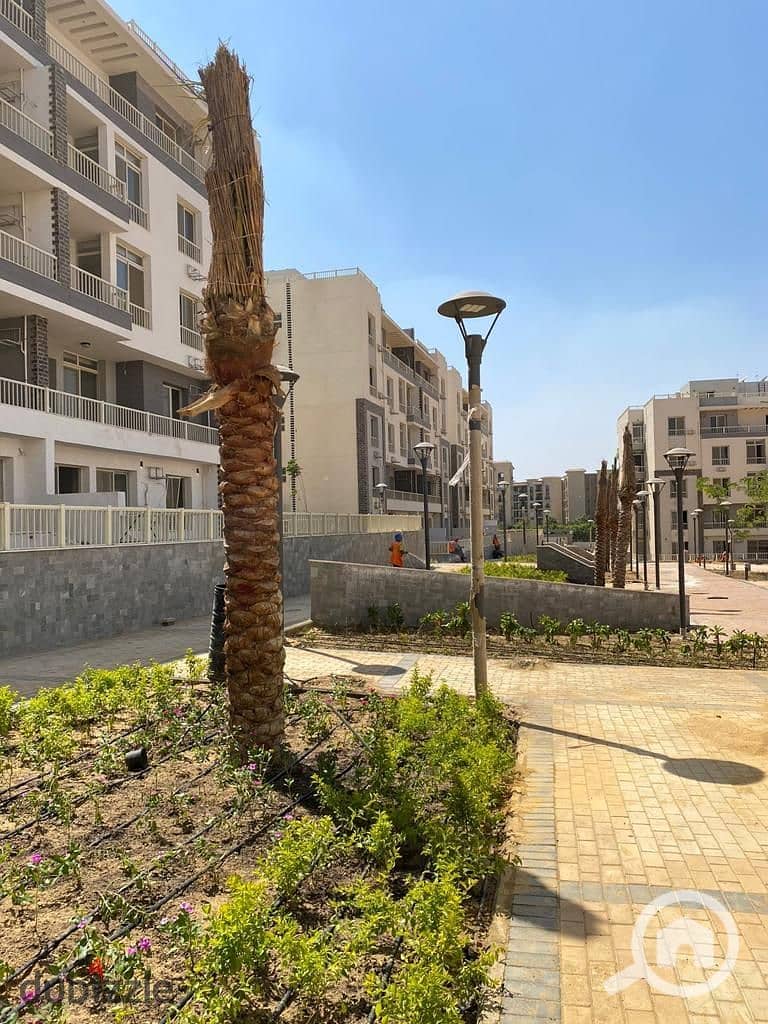 6 IMG-20250217-WA0079. jpg