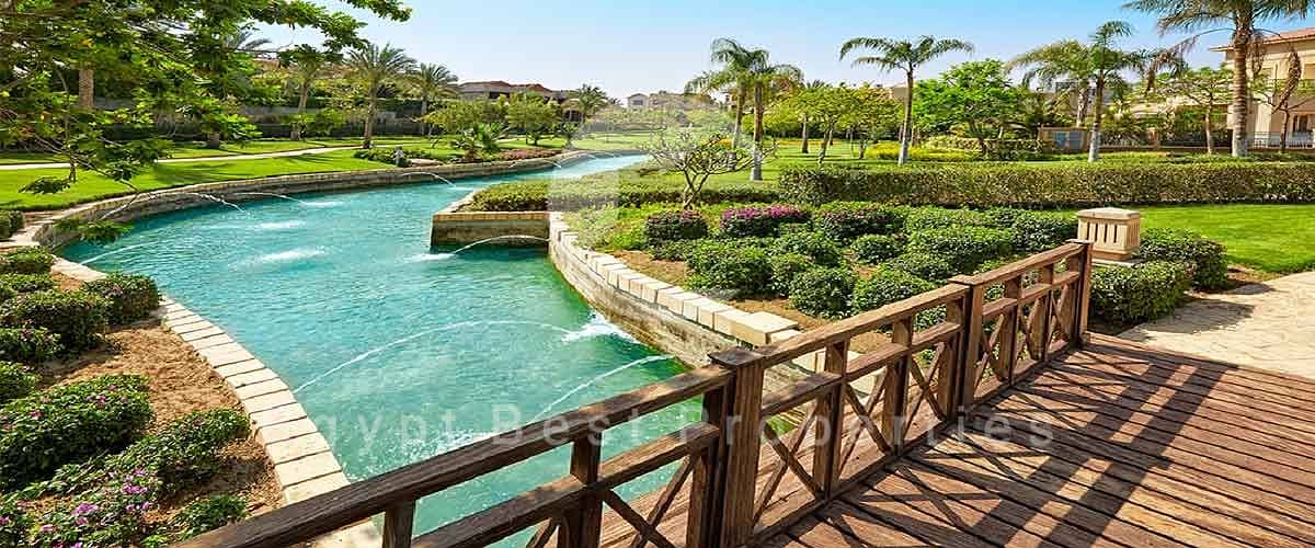 8 swan-lake-التجمع. jpg