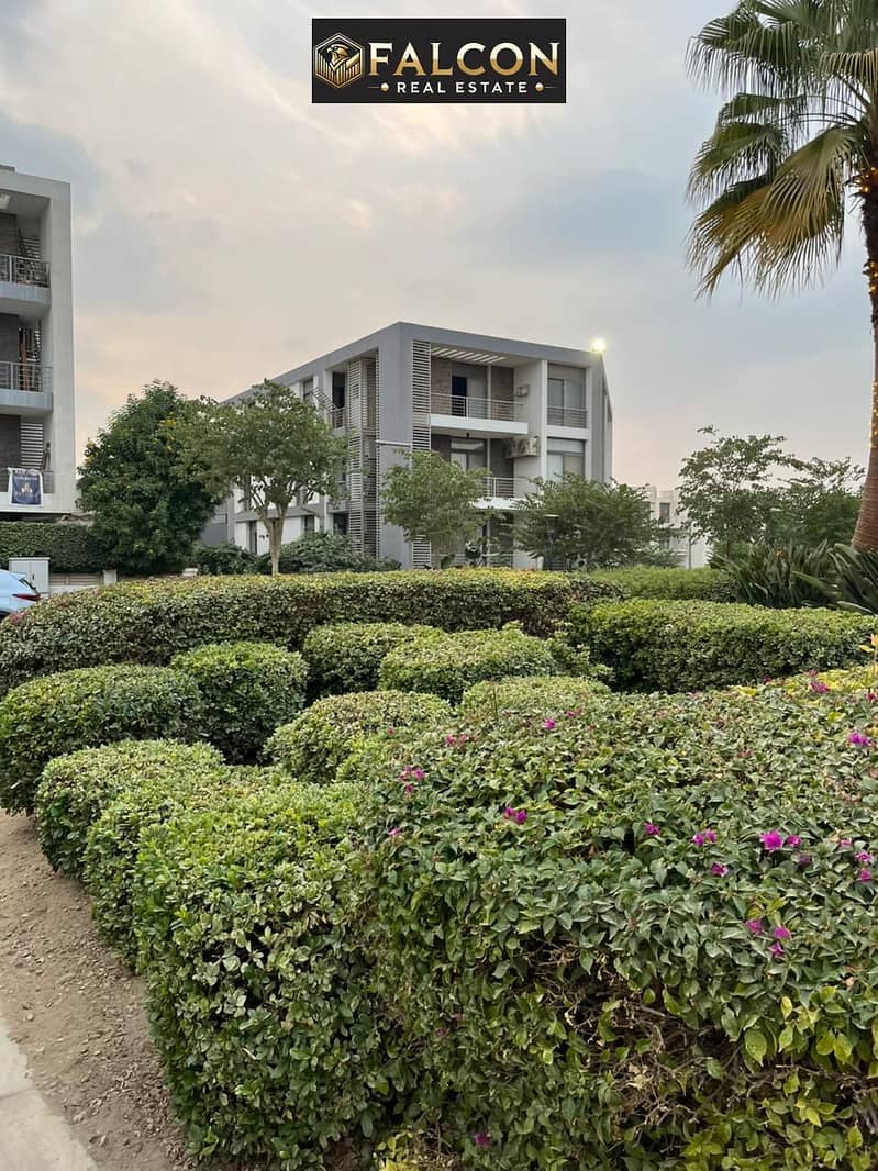 11 WhatsApp Image 2024-12-08 at 17.47. 30_8e43c683. jpg