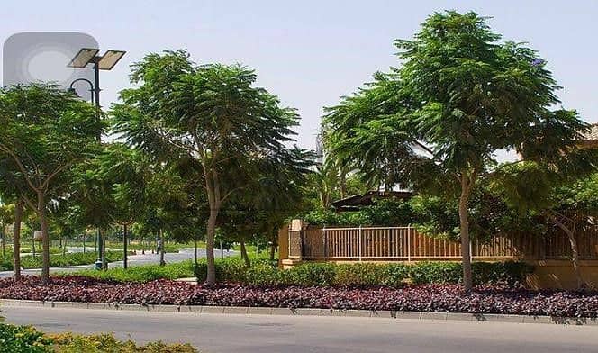 5 3390121-2ec5fo. jpg