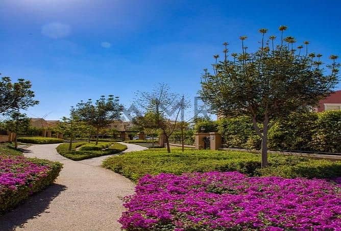 6 3390121-3f668o. jpg