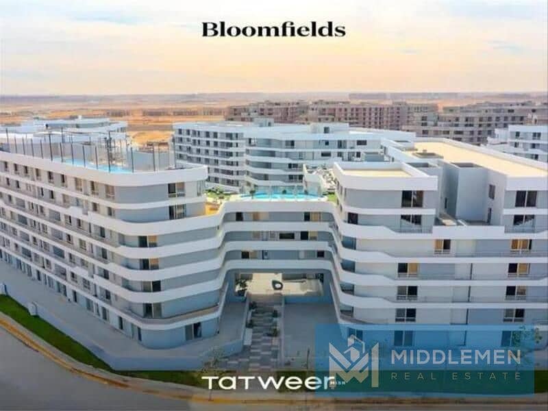 8 5474056-acfddo. jpg