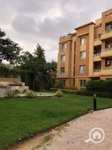 3 2022-01-17 (3). jpg