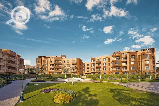 5 WhatsApp Image 2023-10-17 at 1.39. 42 PM (2). jpeg