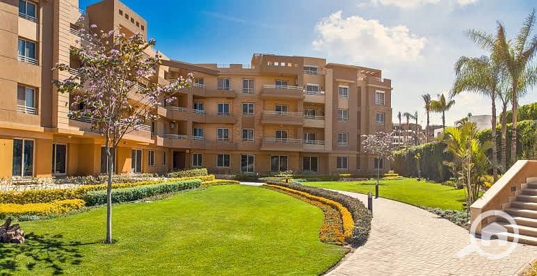 6 WhatsApp Image 2023-10-17 at 1.39. 42 PM. jpeg