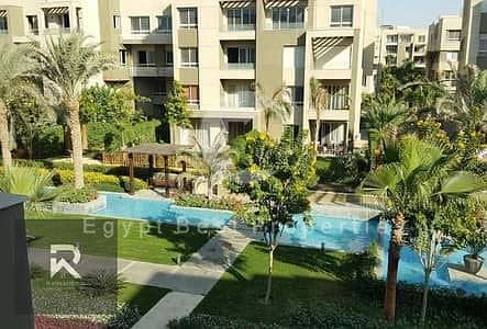 5 24207453-400x300. jpeg