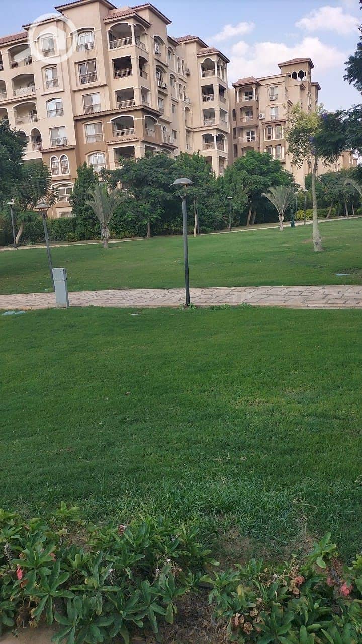 2 dba945af-dd60-4c81-aa13-c6bd0f555a48. jpeg