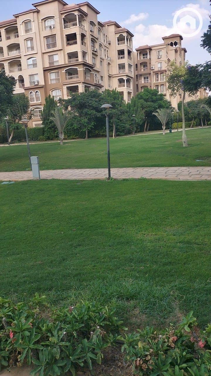 4 dba945af-dd60-4c81-aa13-c6bd0f555a48. jpeg