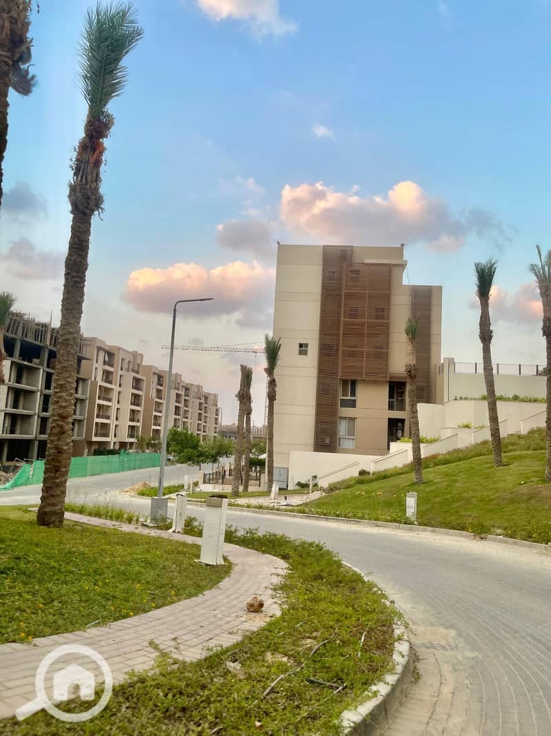 3 15f88d65-cb8b-4ff9-9fef-73f32b3b9a8f. jpg