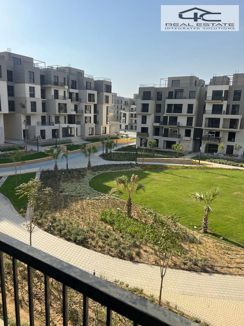 WhatsApp_Image_2025-04-29_at_2.18. 27_PM_Amira_Ali. jpeg