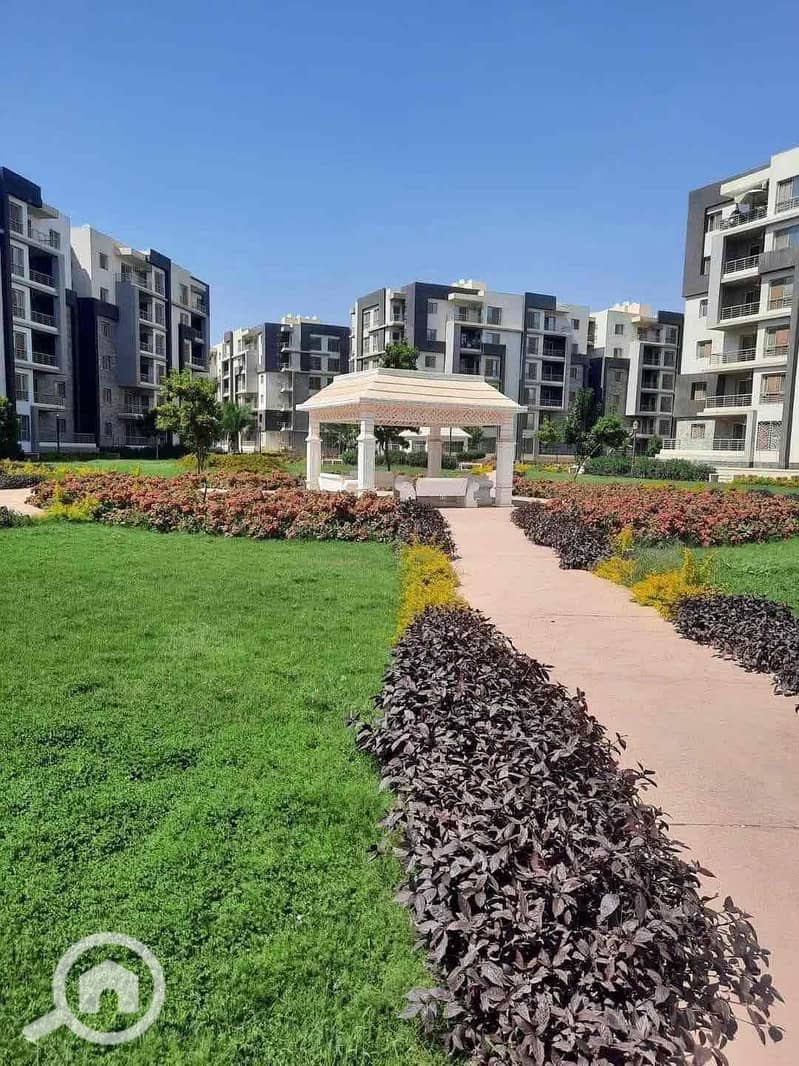 IMG_7721. jpg IMG_7721. jpg