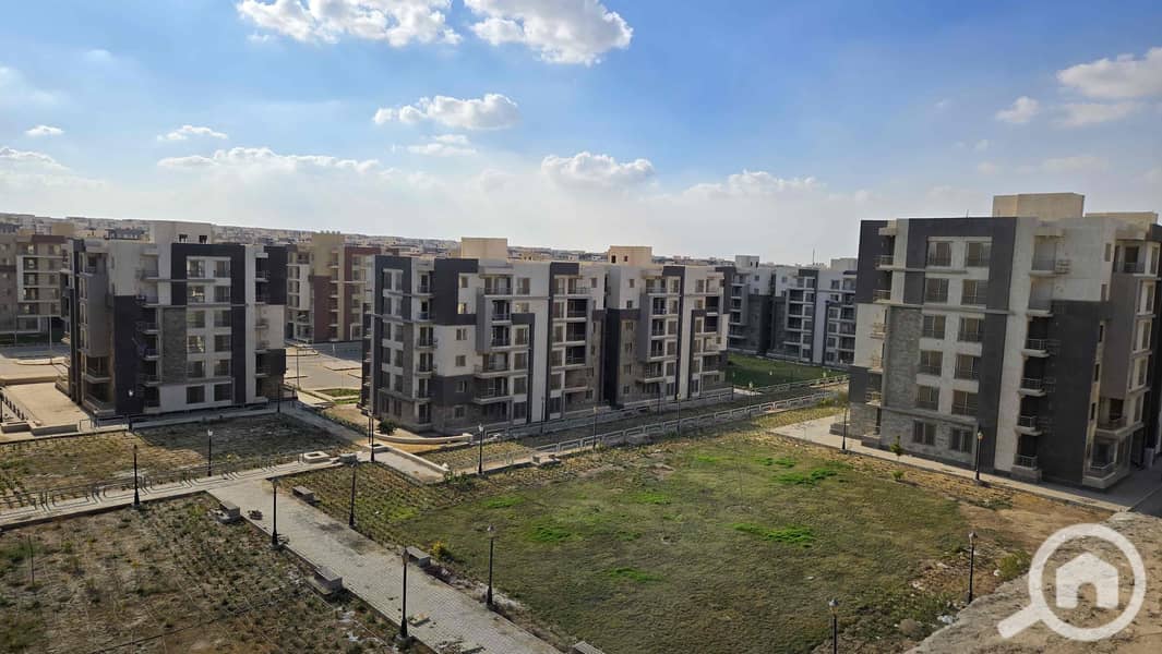 2 82fc6ef1-ab91-43d4-a287-84df07fbc046. jpg