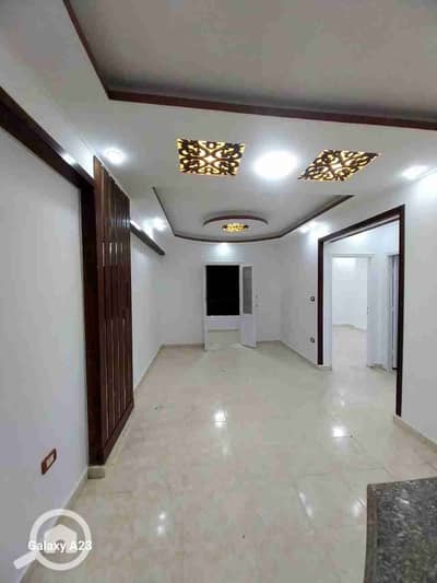 2 Bedroom Apartment for Sale in Nakheel, Alexandria - 1000309212. jpg