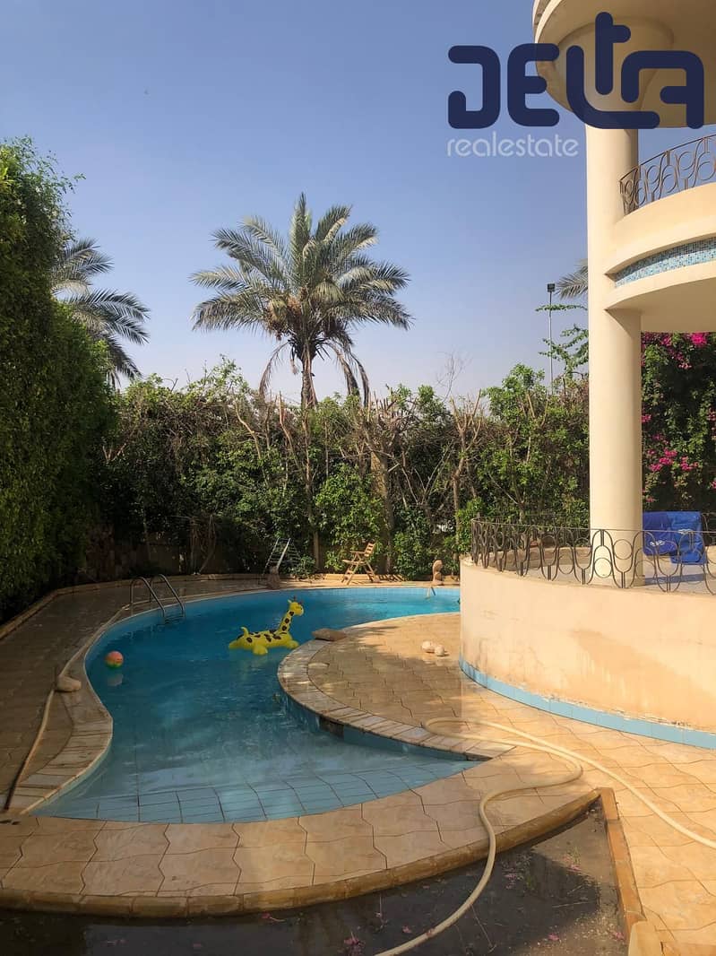 19 IMG-20251008-WA0028. jpg