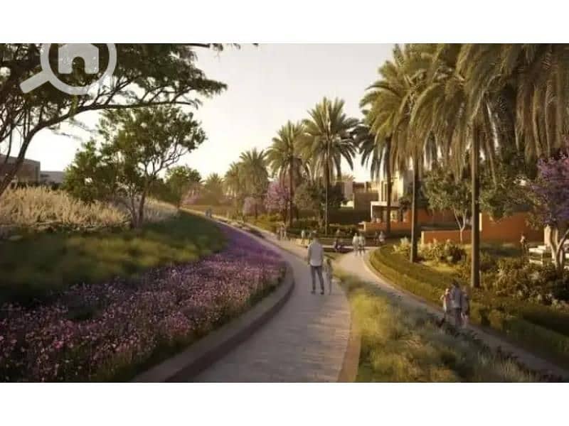 2 solana-new-zayed_13. jpg